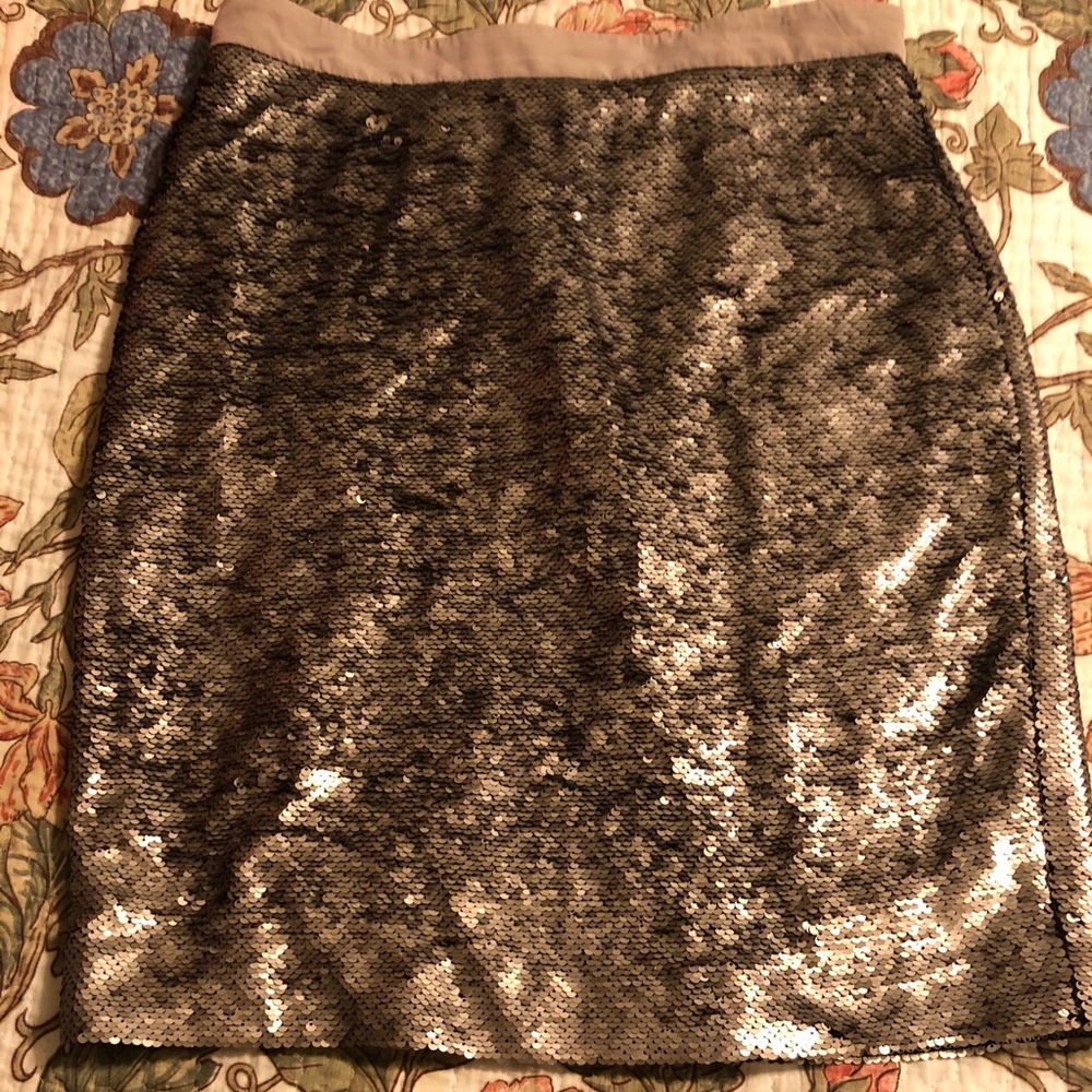 Sequin skirt